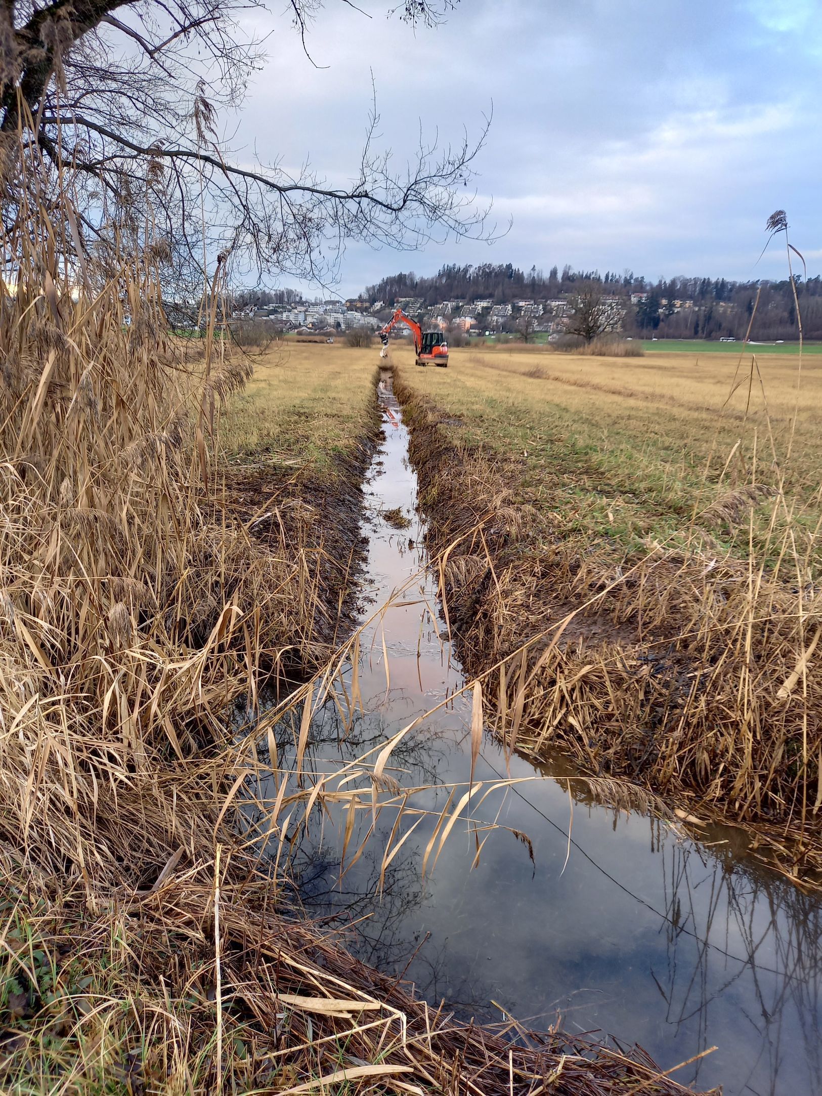 Lothar Gut Baggerbetriebe AG