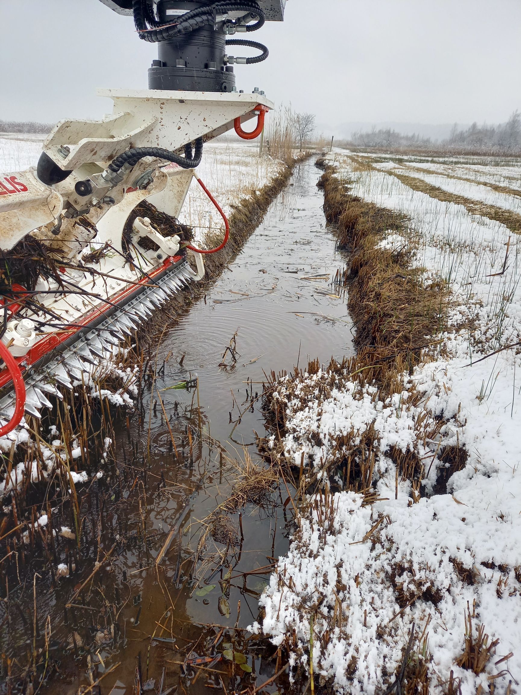 Lothar Gut Baggerbetriebe AG