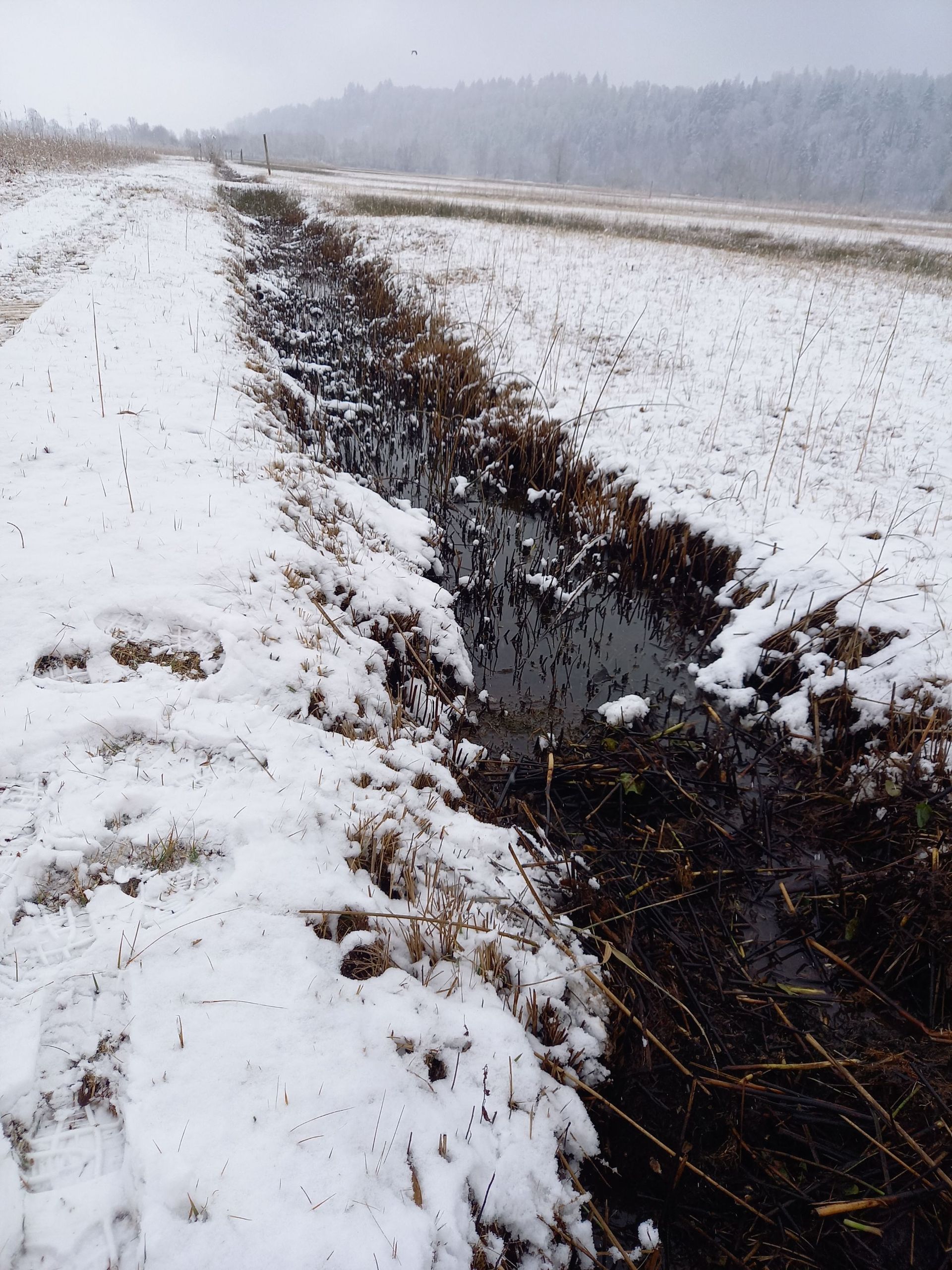 Lothar Gut Baggerbetriebe AG