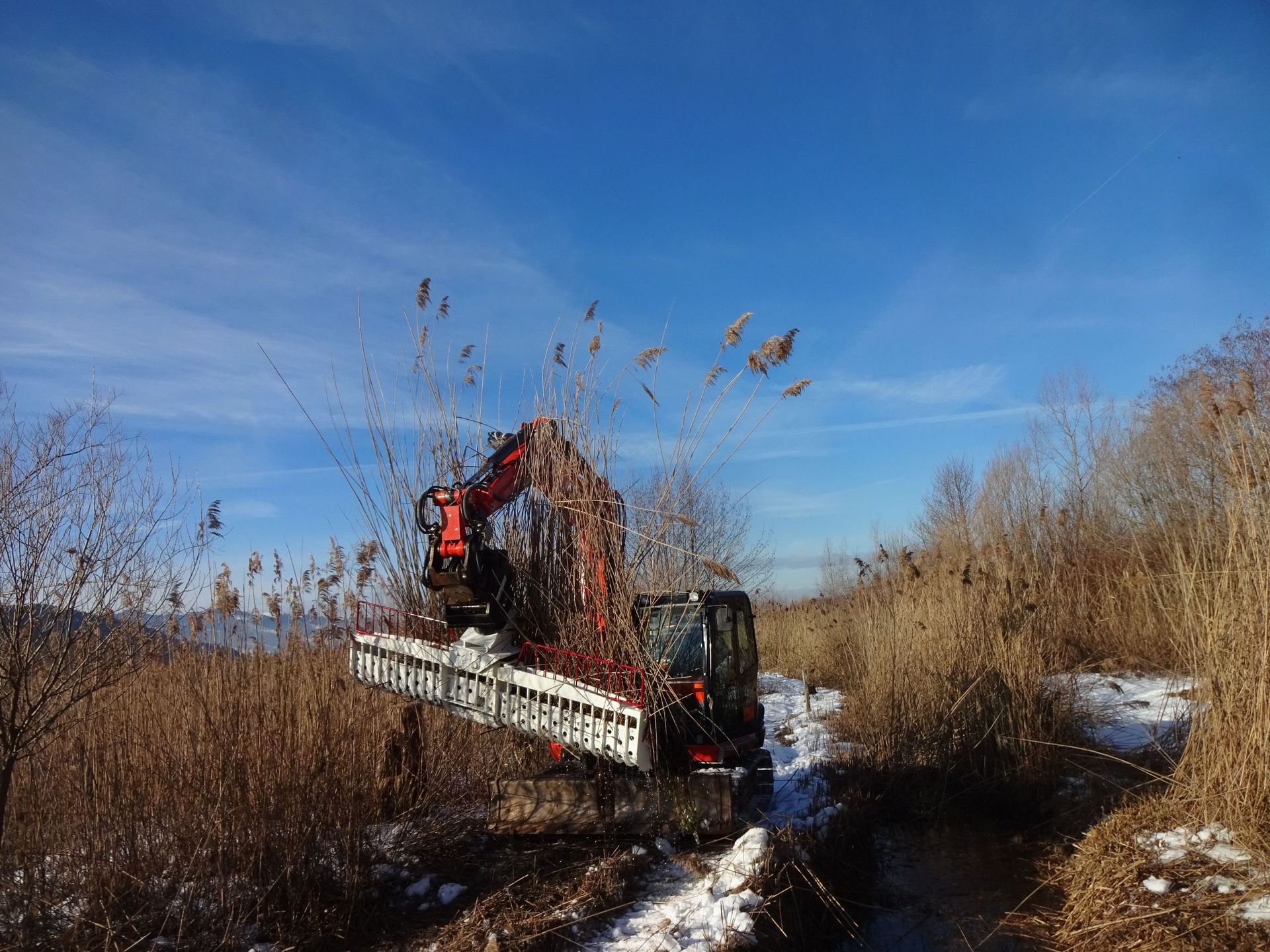 Lothar Gut Baggerbetriebe AG