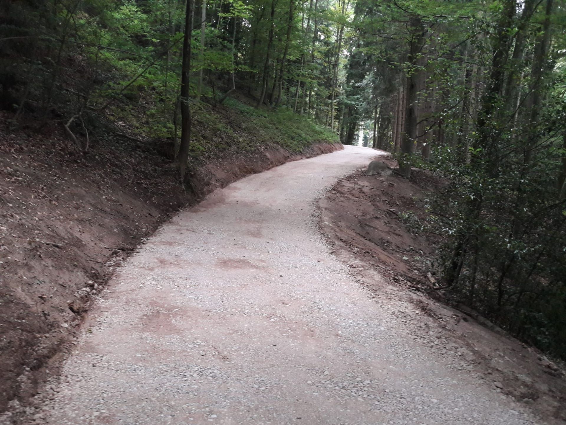 Lothar Gut Baggerbetriebe AG