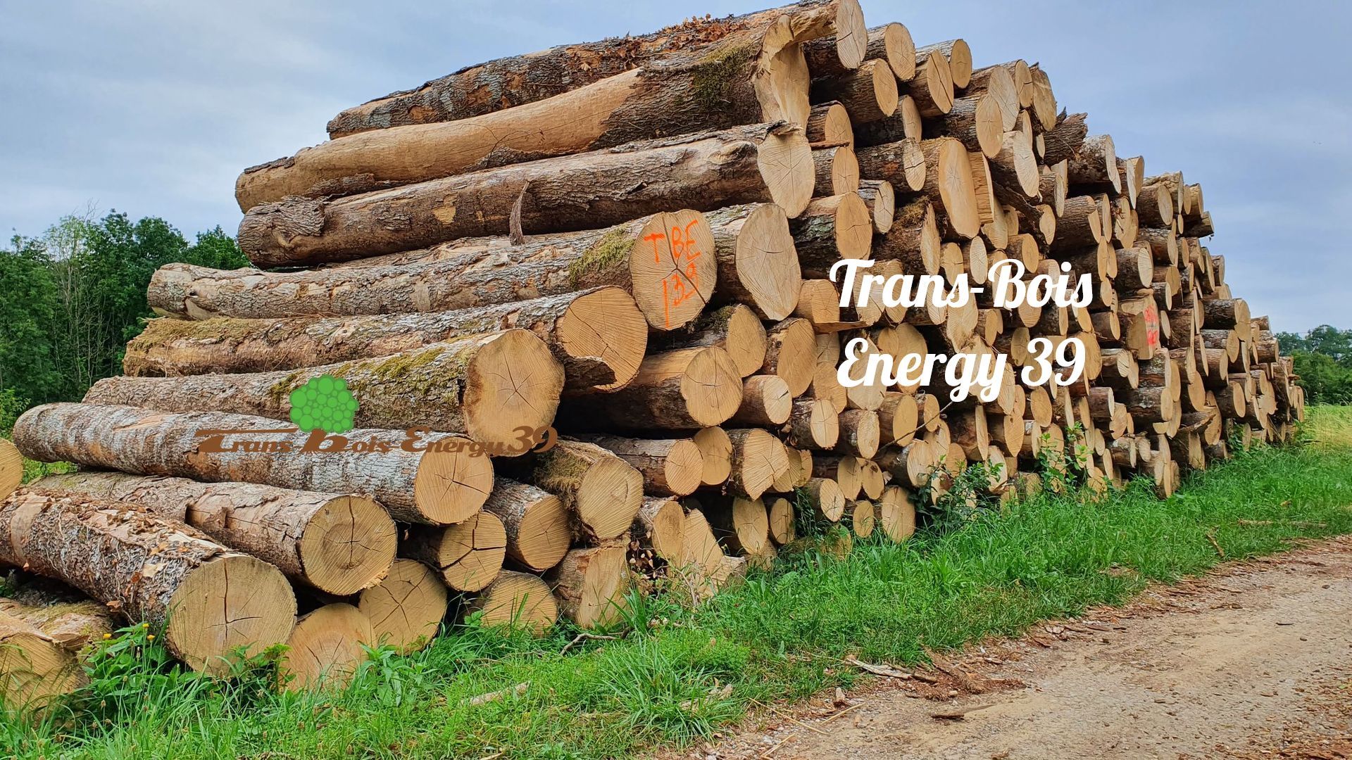 Pile de bûches destinée à la production d'énergie.