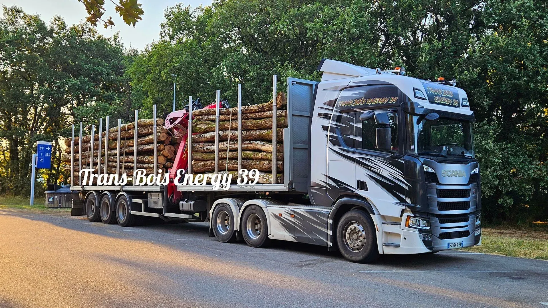 Camion avec chargement de bois