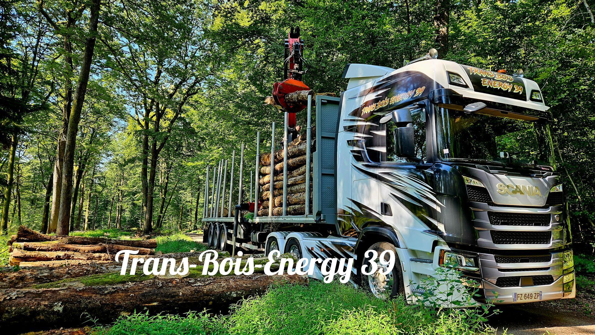 Camion grumier blanc avec grue dans une forêt.