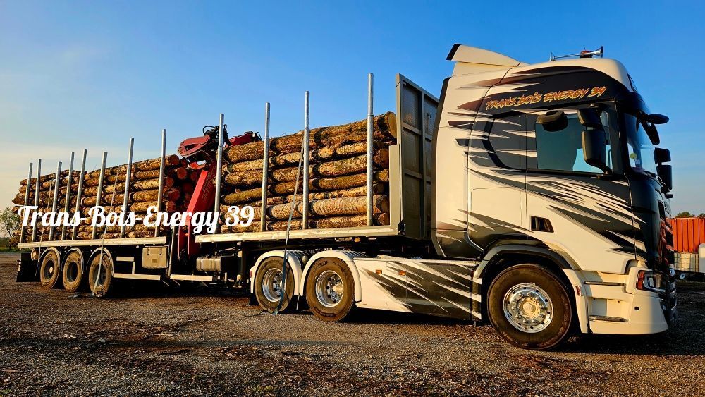 Camion blanc transportant des grumes sur une remorque.