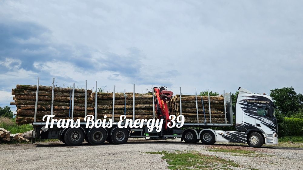 Camion grumier transportant des billes de bois sur un chemin de gravier.