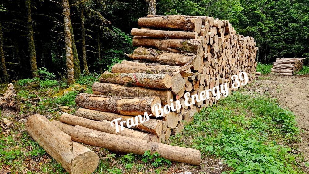 Pile de rondins coupés empilés dans la forêt, avec d'autres rondins au sol.