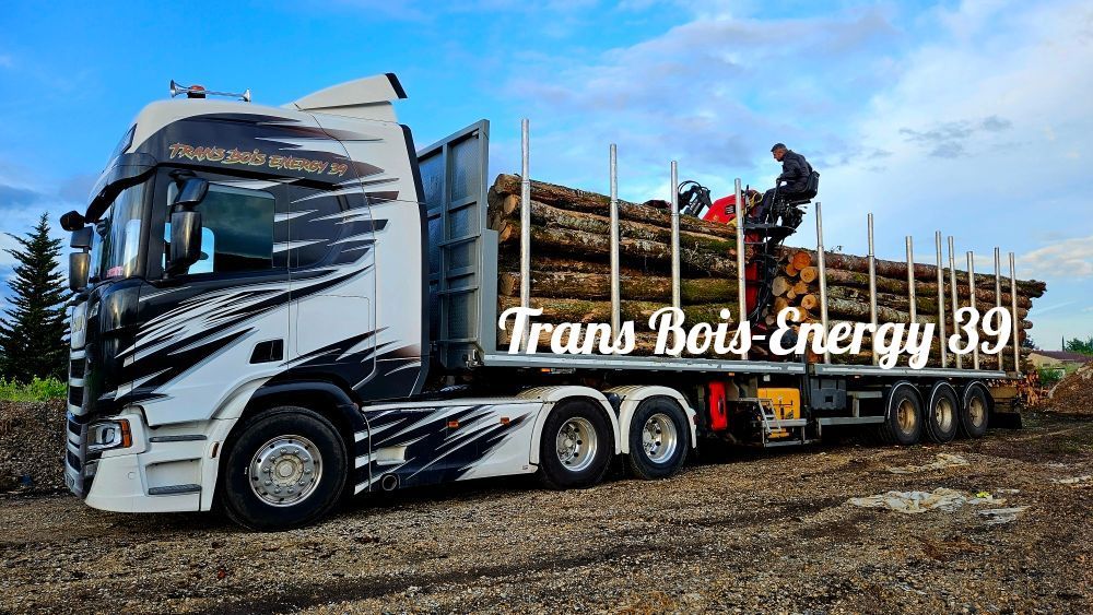 Le camion grumier blanc et noir charge des billes de bois avec une grue.