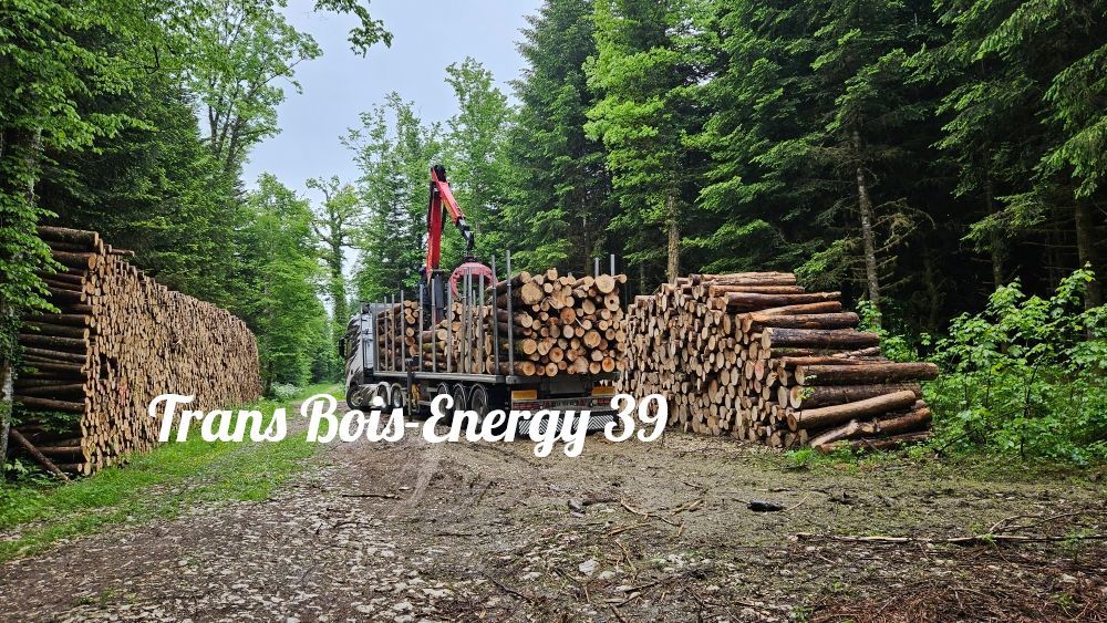 Camion chargé de billes de bois dans une forêt.