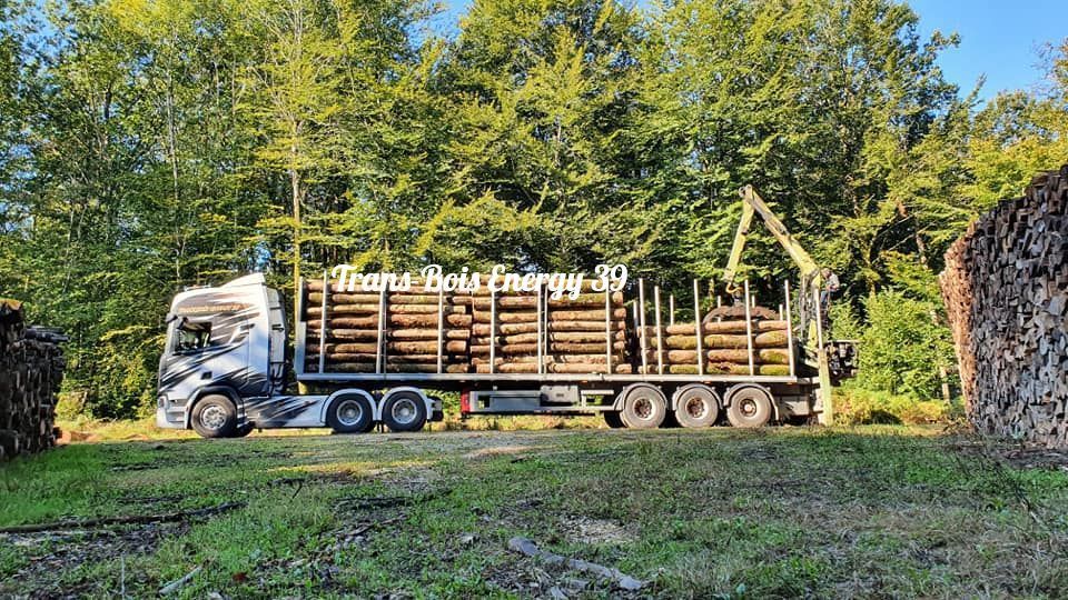 Camion avec chargement de bois