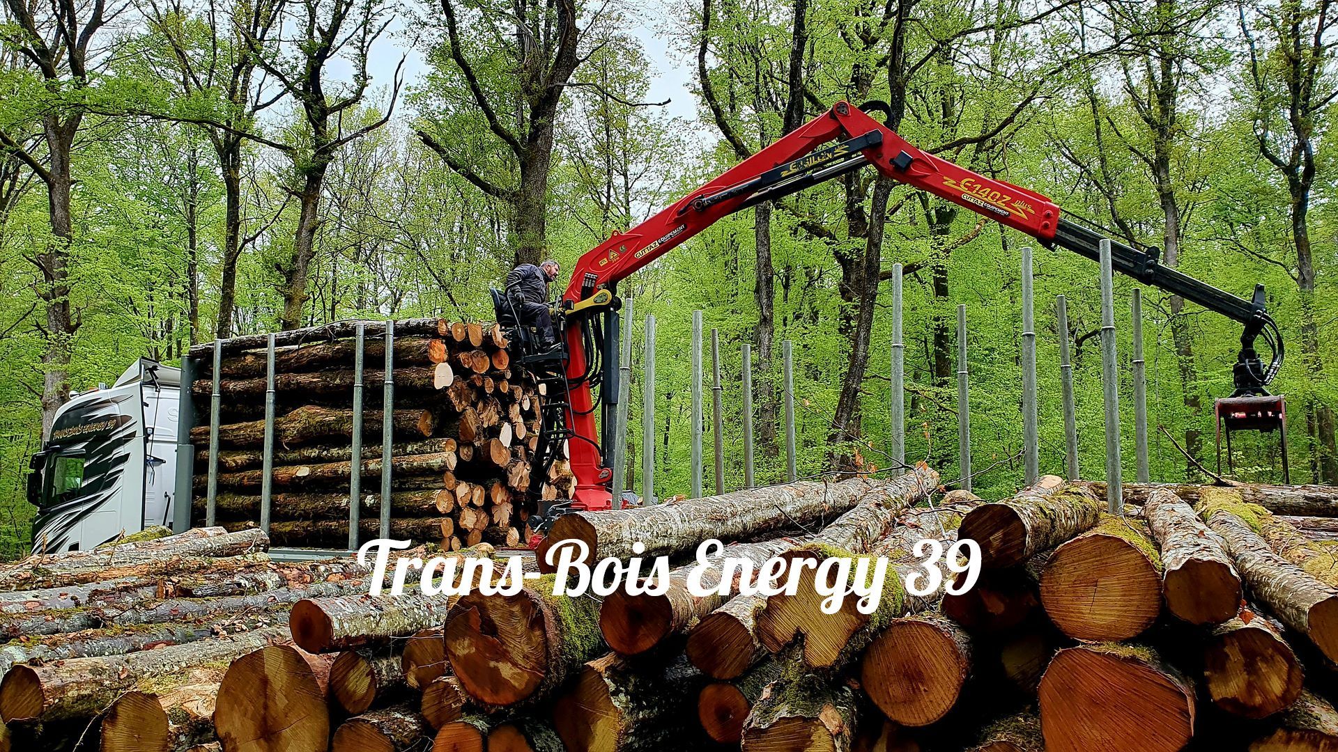 Une grue chargeant des billes de bois sur un camion.