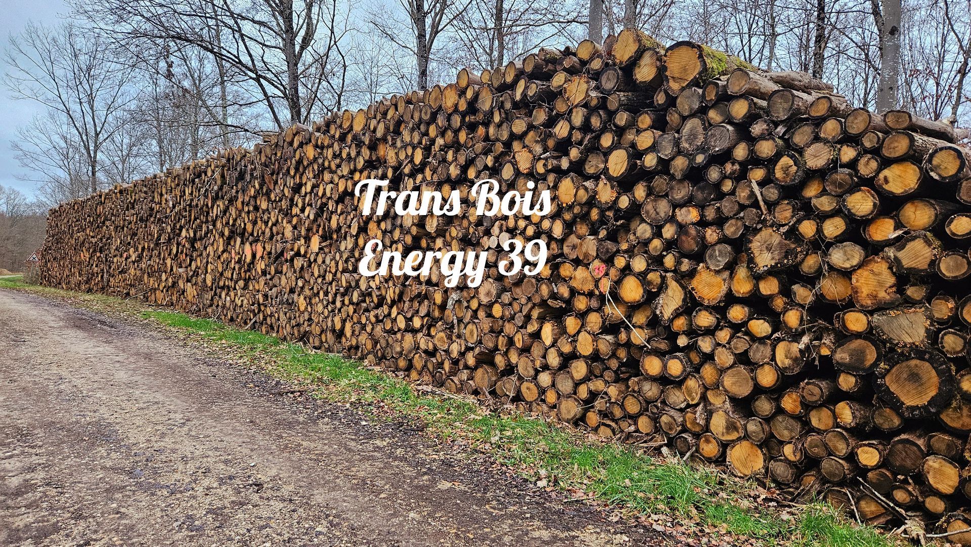 Tas de rondins coupés.