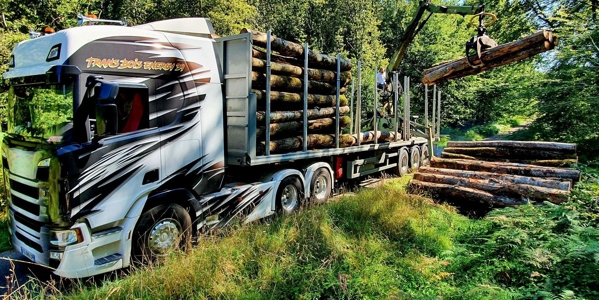 Un camion forestier chargé de grumes à l'extérieur.