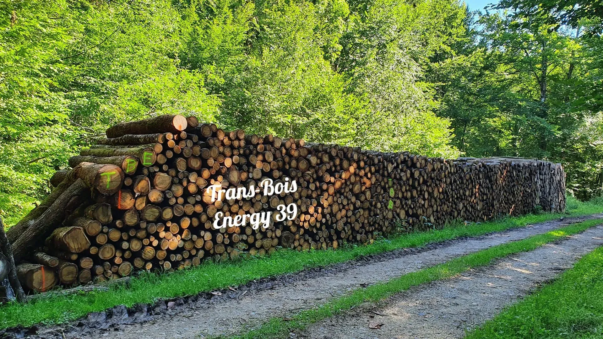 Essences de bois de chauffage