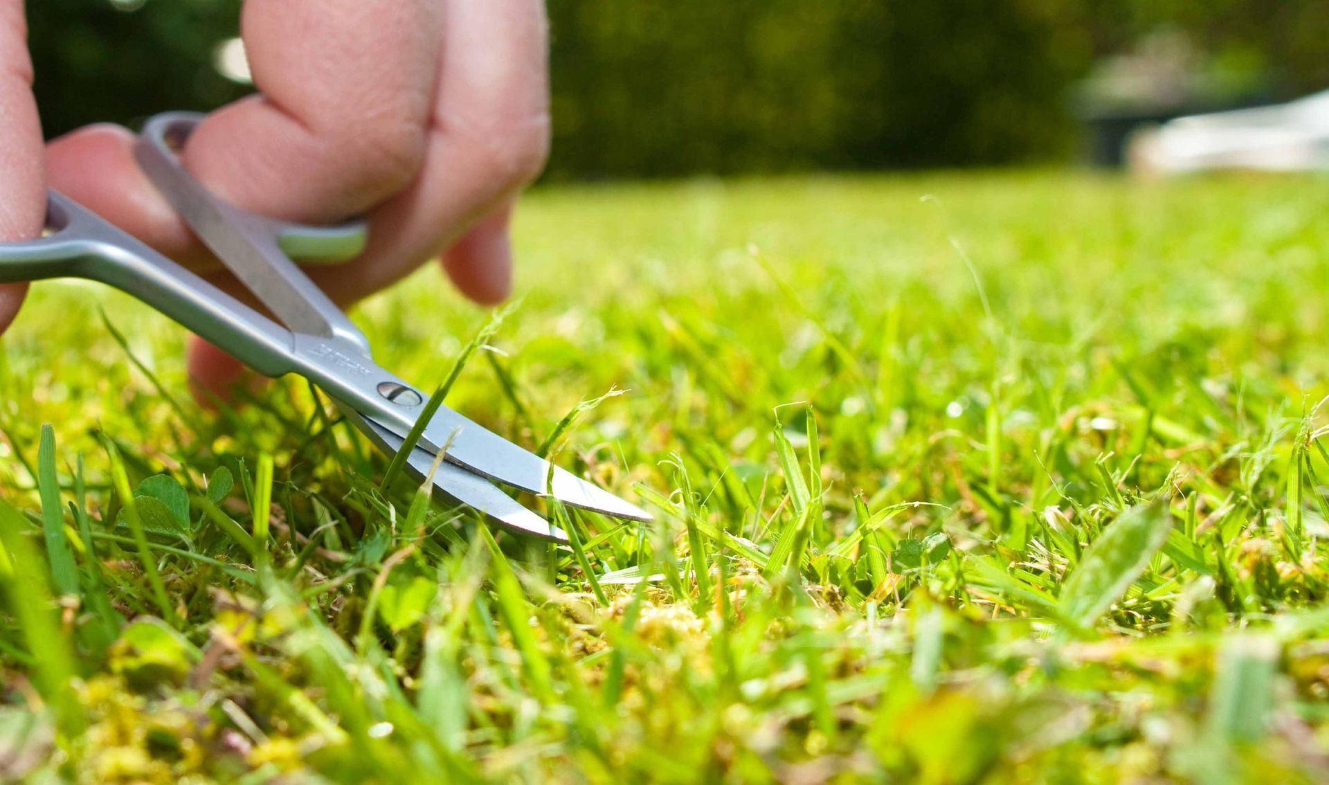 Gartenpflege - Schafhausen im Emmental - Scheidegger Gartenbau GmbH