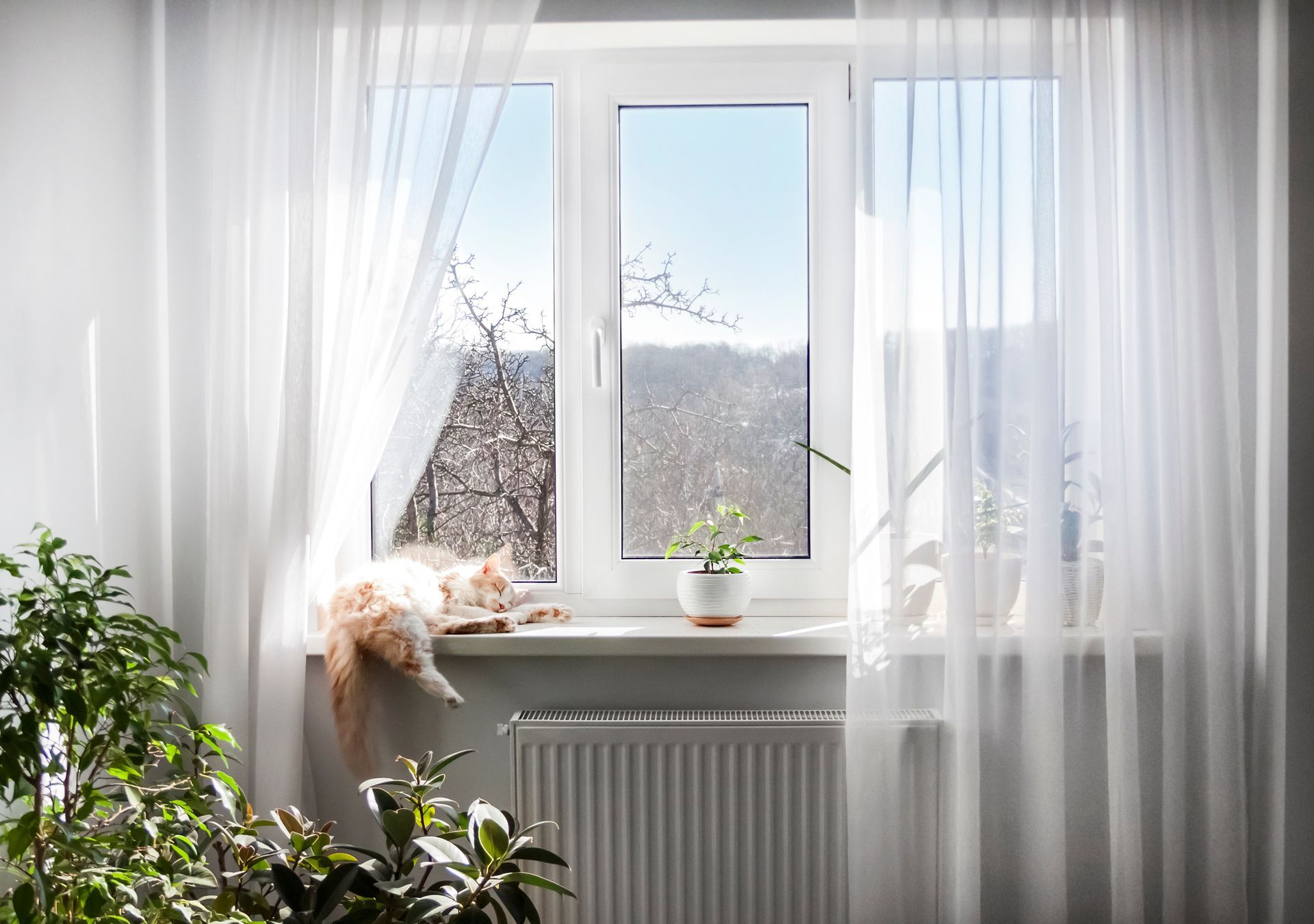 Chambre lumineuse avec des voilages, une fenêtre, une plante en pot et un radiateur à côté d'une couverture douillette