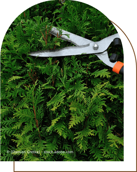 Karl Müller Garten- und Landschaftsbau