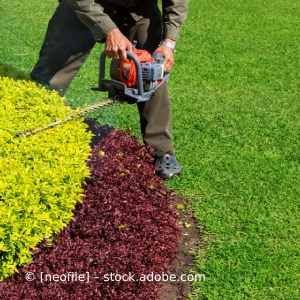 Ein Mann schneidet in einem Garten mit einer Kettensäge einen Busch ab. Karl Müller Garten- und Landschaftsbau