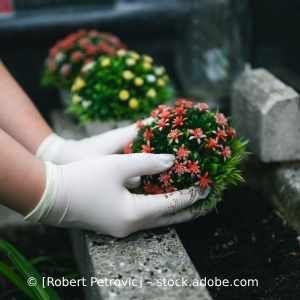 Eine Person mit weißen Handschuhen hält eine Topfpflanze in den Händen. Karl Müller Garten- und Landschaftsbau