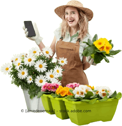 Eine Frau in einer roten Jacke gießt Blumen auf einem Friedhof. Karl Müller Garten- und Landschaftsbau