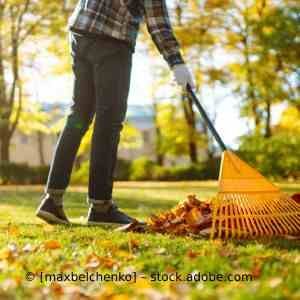 Ein Mann harkt mit einer Harke Laub in einem Park. Karl Müller Garten- und Landschaftsbau