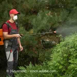 Ein Mann mit Maske besprüht Pflanzen. Karl Müller Garten- und Landschaftsbau