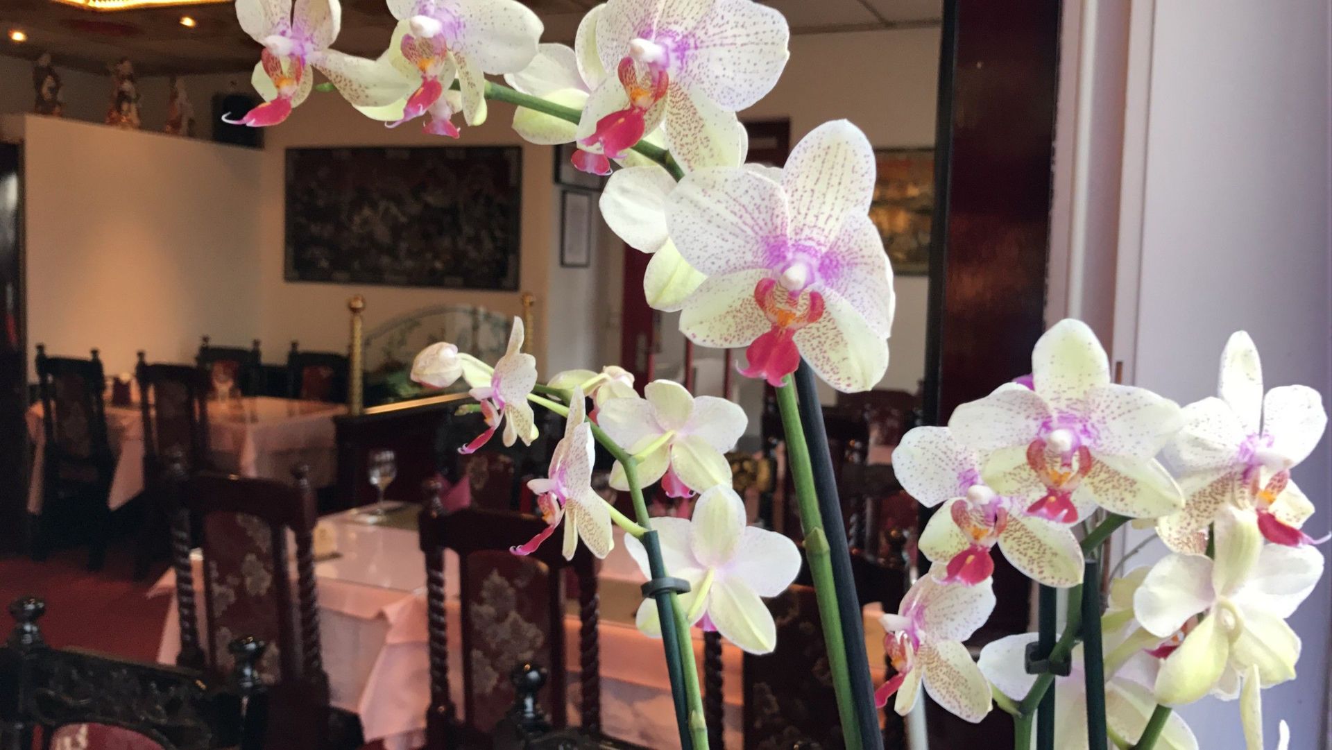 Räumlichkeiten - Restaurant Tai Yien