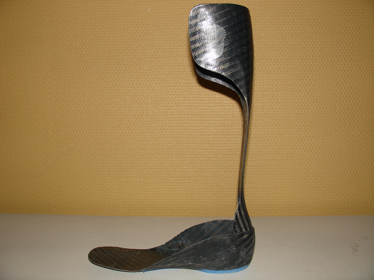 Attelle noire, debout