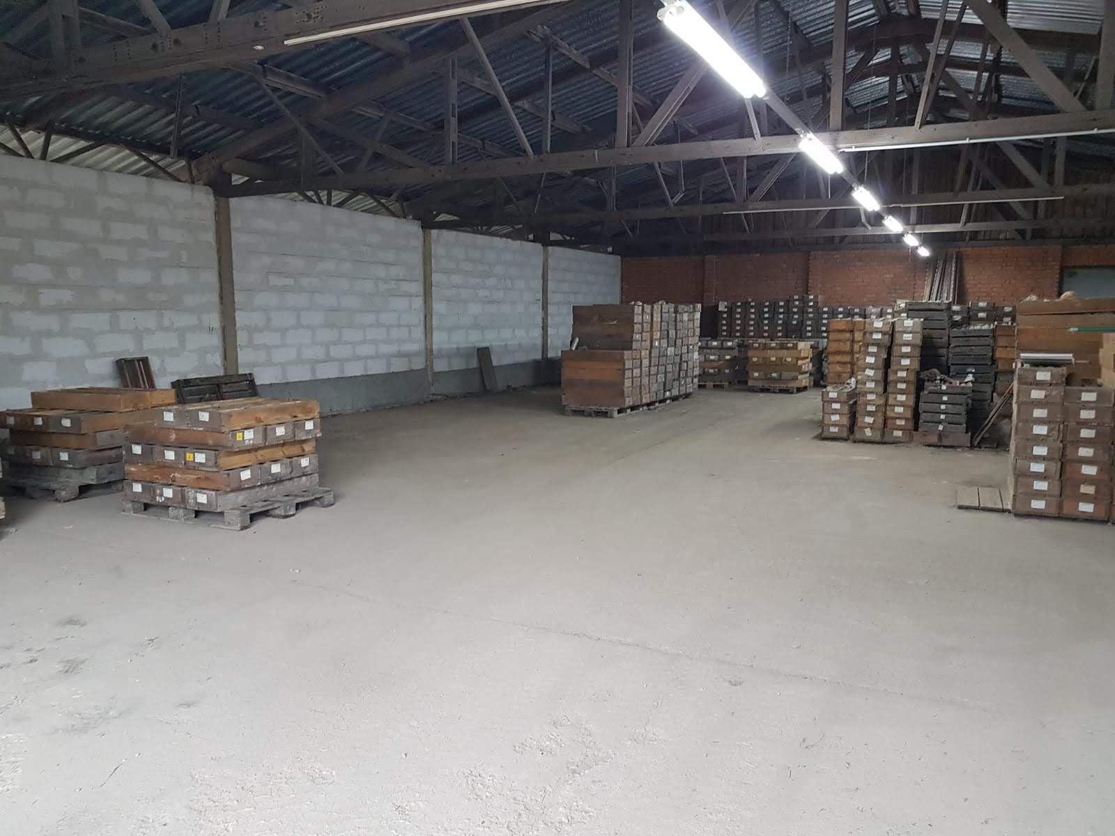 Innenansicht einer Lagerhalle mit gestapelten Kisten auf Paletten, Betonboden und Deckenbeleuchtung.