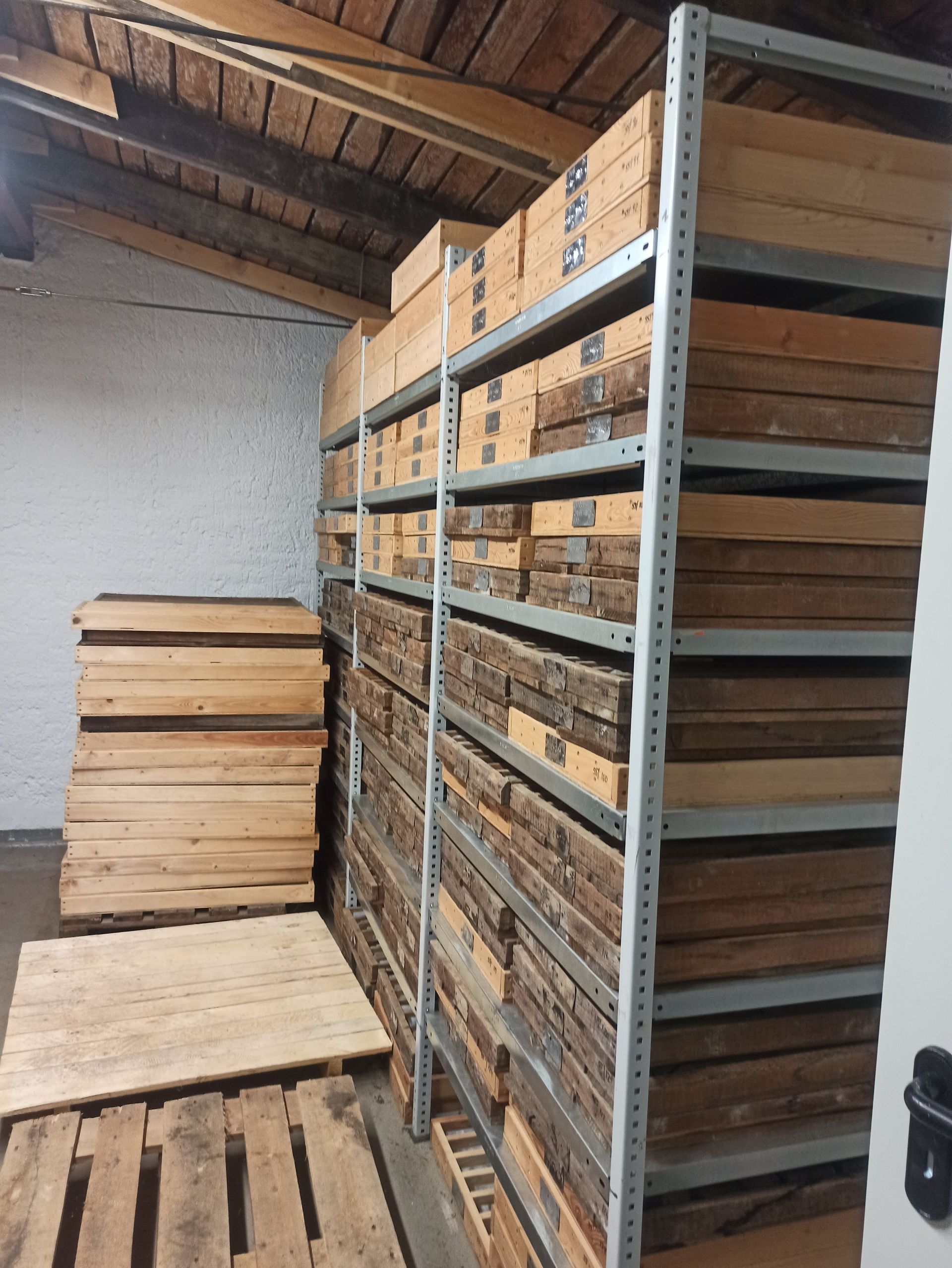 In einem Abstellraum steht ein Regal voller Holzkisten. Links davon befindet sich ein Stapel Holzbretter.