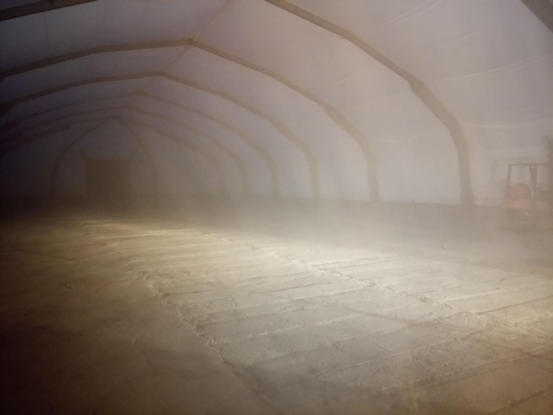 Innenansicht eines großen, düsteren Gebäudes mit gewölbter Decke. Staub oder Nebel trüben die Sicht.