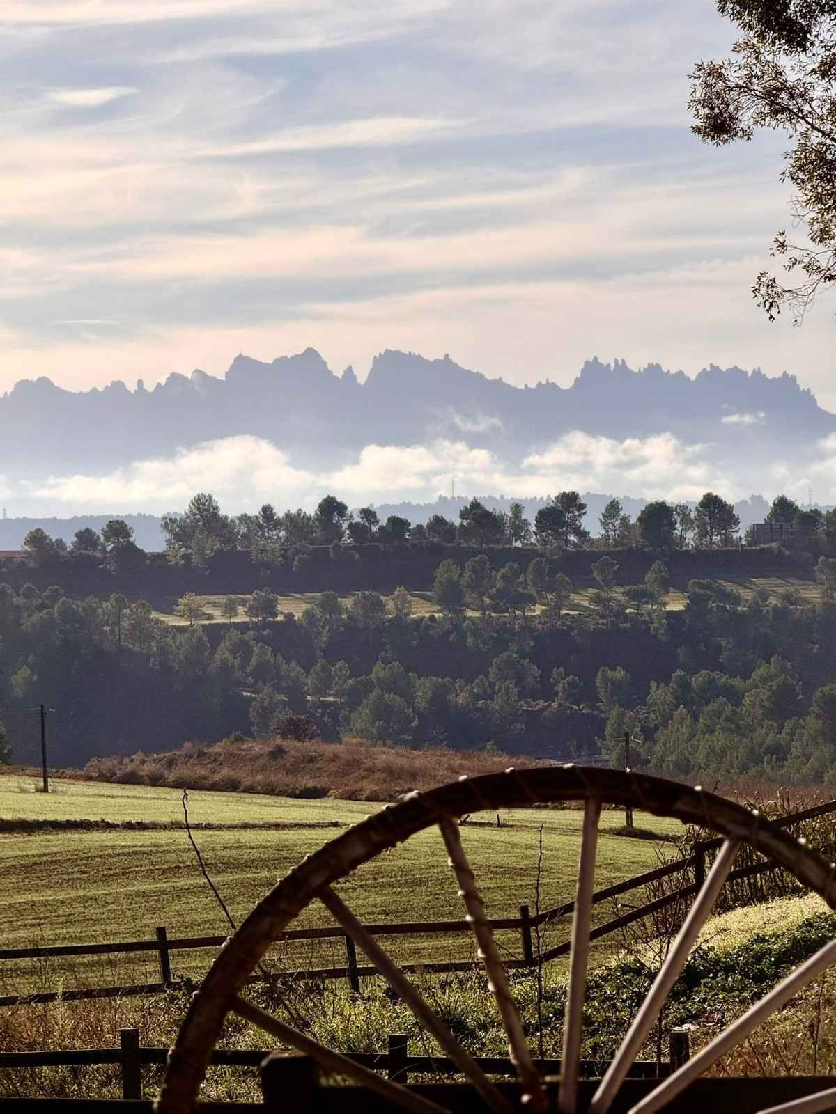 Rueda rústica en un campo soleado con árboles y montañas distantes bajo un cielo pálido.