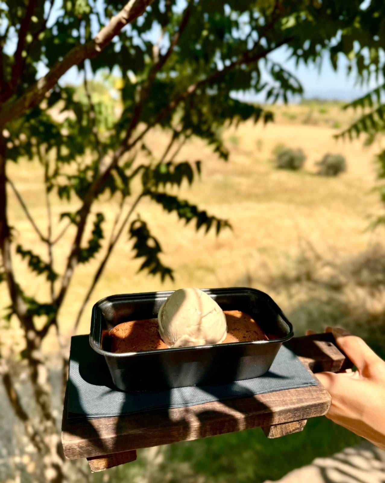 Postre en una bandeja al aire libre, con un campo y ramas de árboles al fondo.