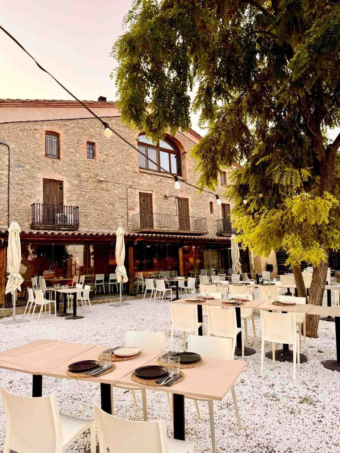 Cafetería al aire libre con mesas y sillas blancas frente a un edificio de piedra bajo un gran árbol.