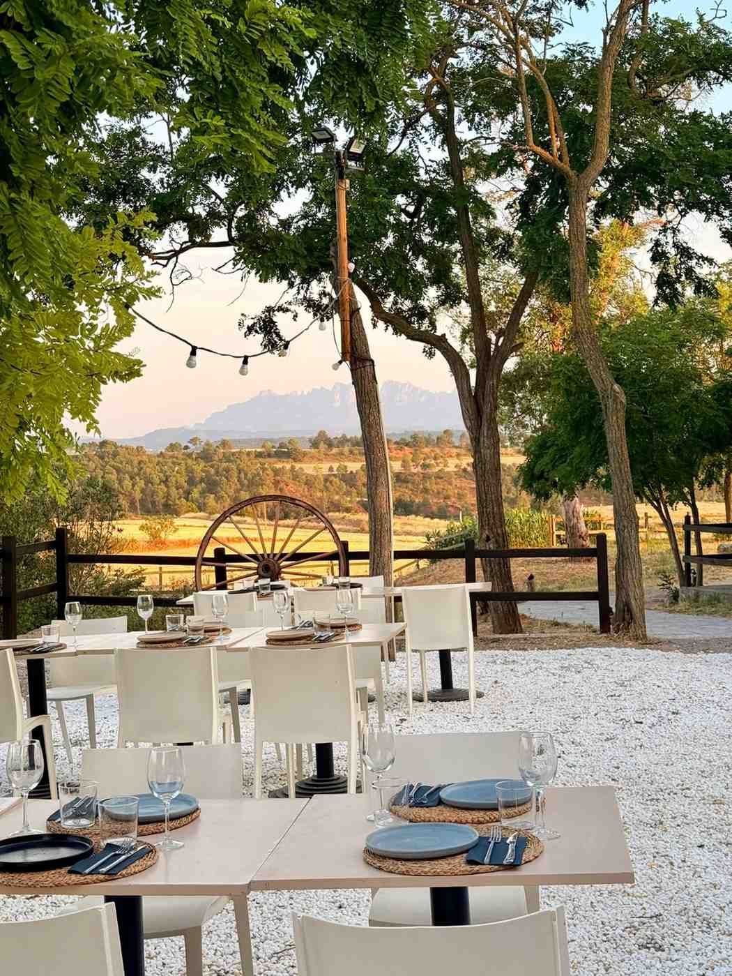 Comedor al aire libre con mesas blancas, platos azules y árboles con vistas a un paisaje de puesta de sol.
