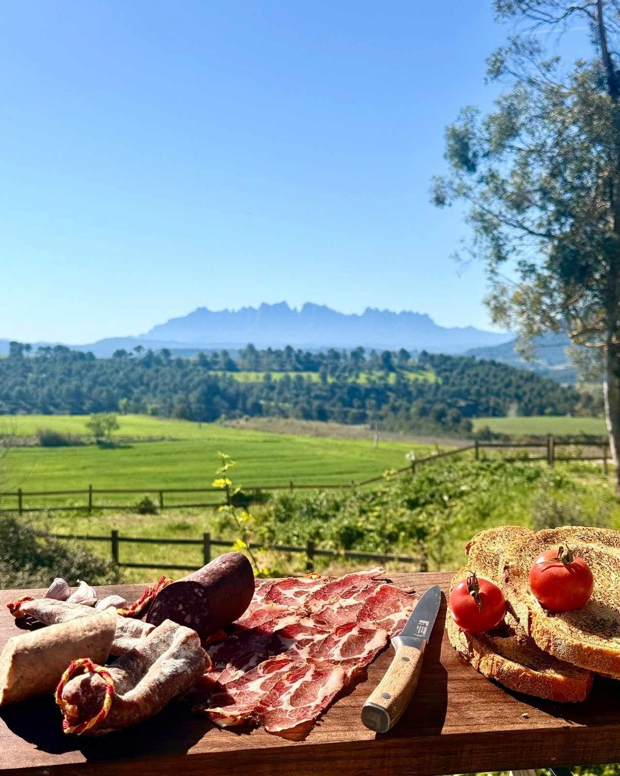 Desayuno rústico con pan, queso y mermelada en una mesa con vistas a campos verdes y montañas lejanas.