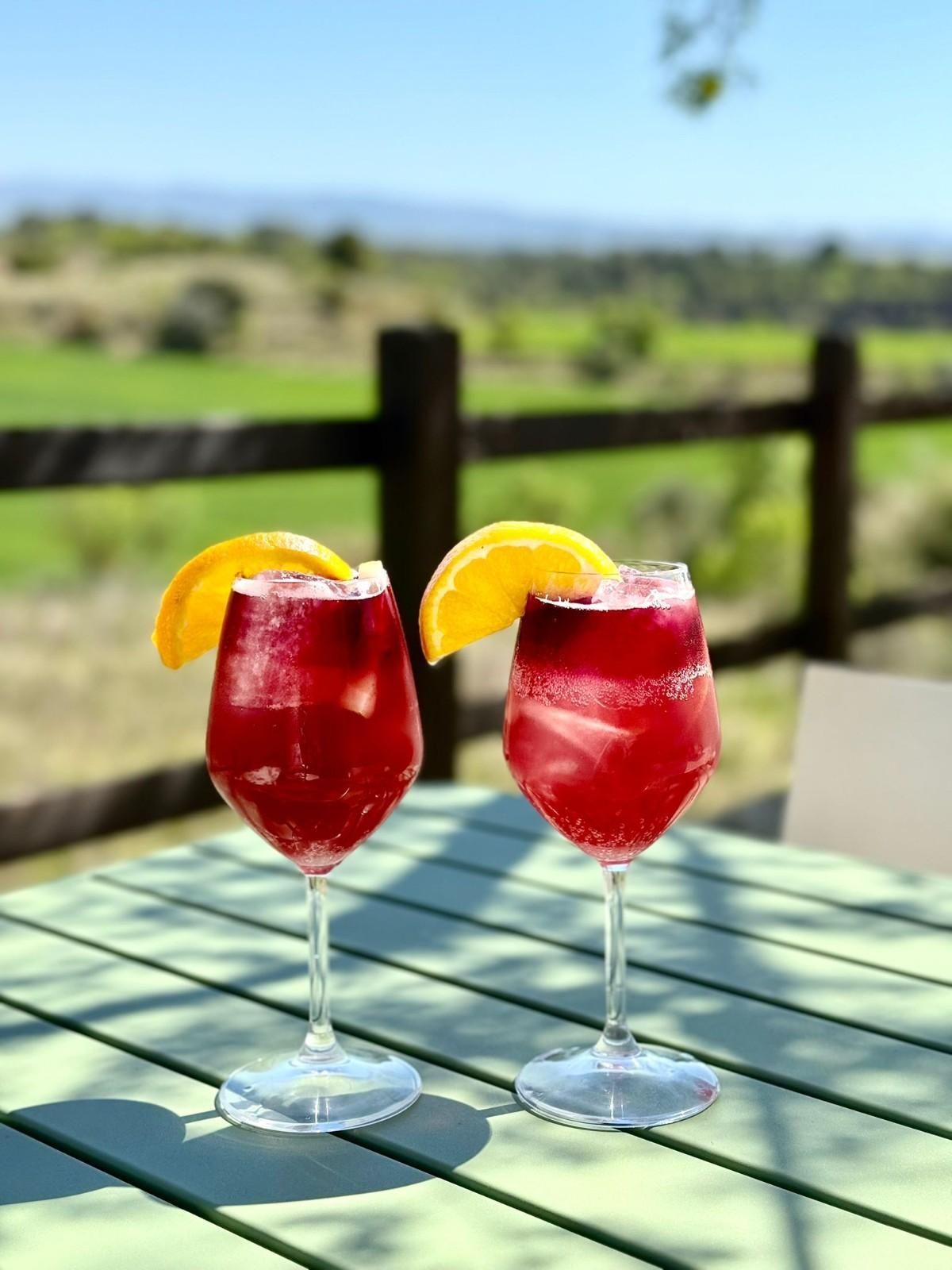Dos cócteles rojos con rodajas de naranja sobre una mesa al aire libre, con una valla borrosa y vegetación al fondo.