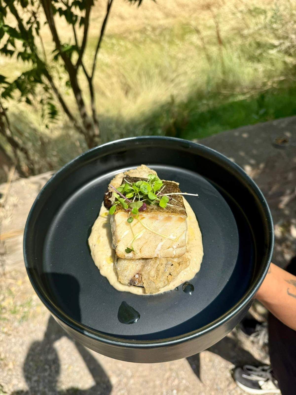 Bol negro con un plato gourmet decorado con hierbas, colocado al aire libre sobre un fondo de césped.