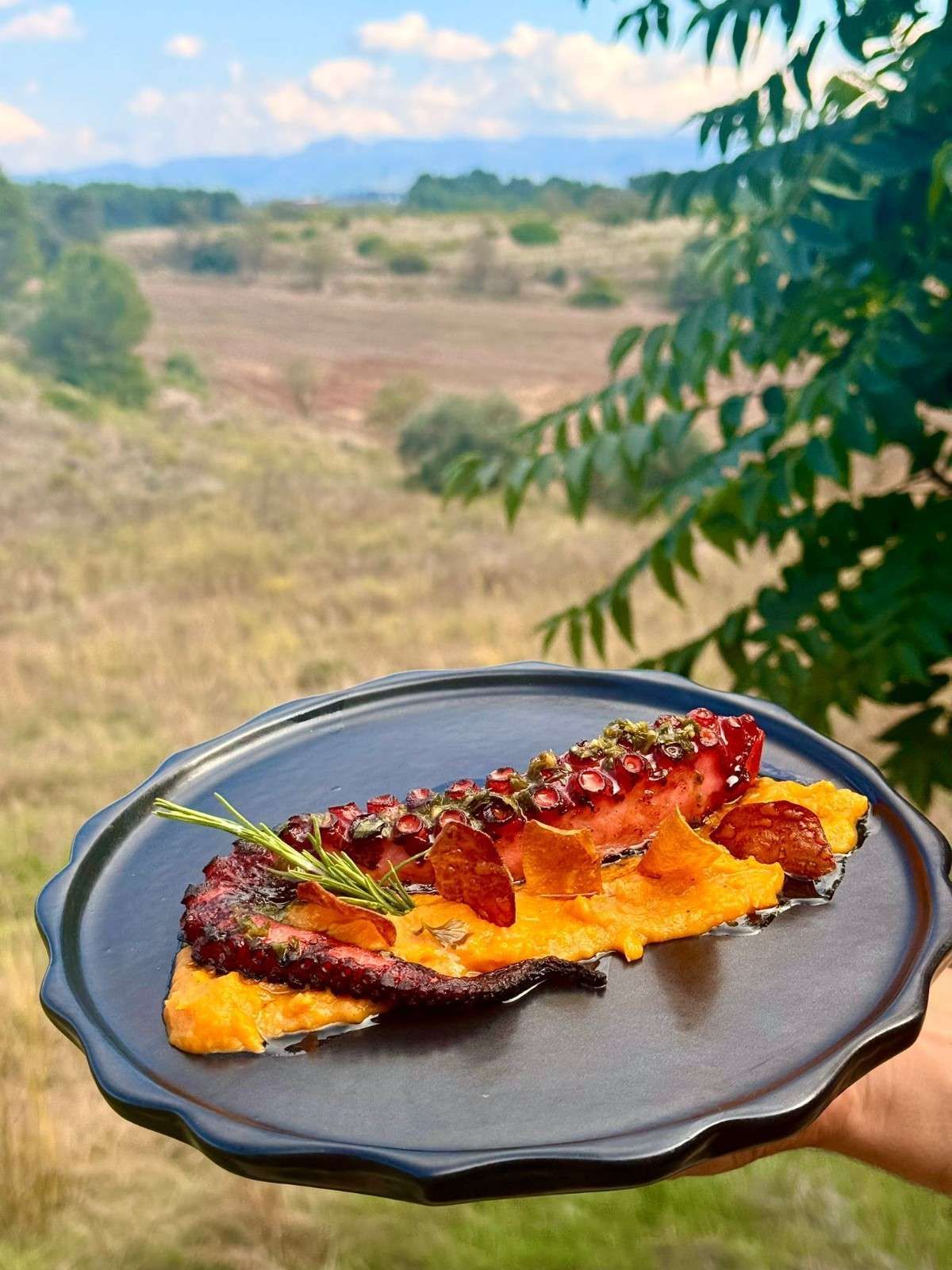 Plato de comida a la parrilla cubierto con salsa roja, sostenido al aire libre con un campo borroso al fondo.