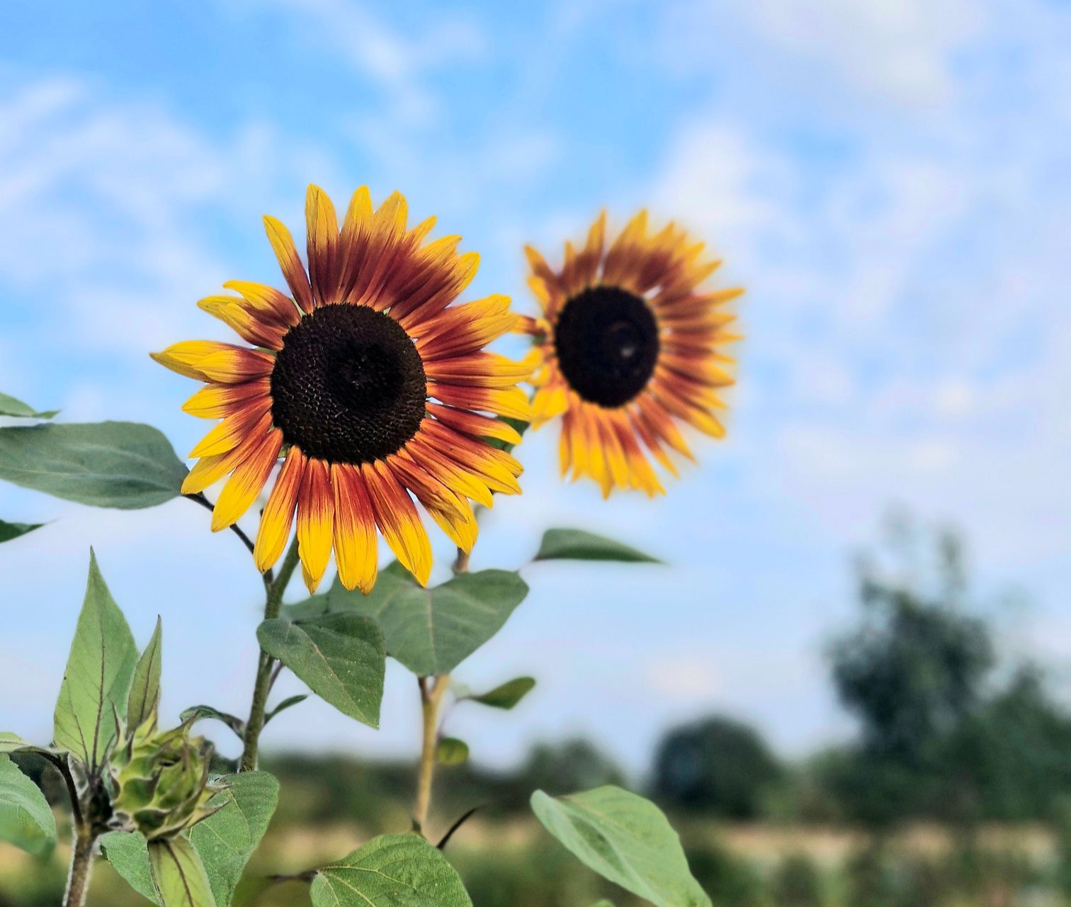 Eine Tasse Kaffee, ein Notizbuch, ein Stift und eine Zeitung liegen auf einem Tisch.