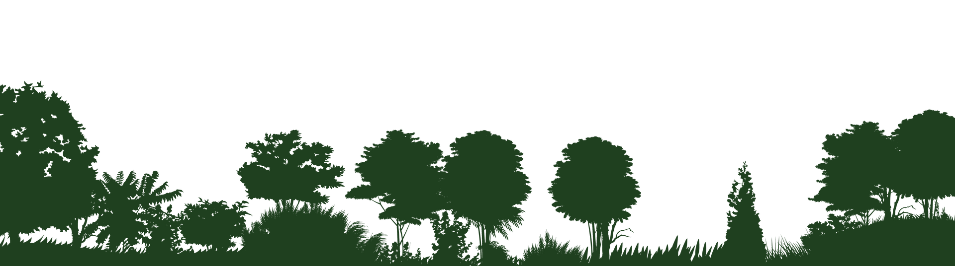 Silhouette de divers arbres et buissons en bas, sur fond blanc.