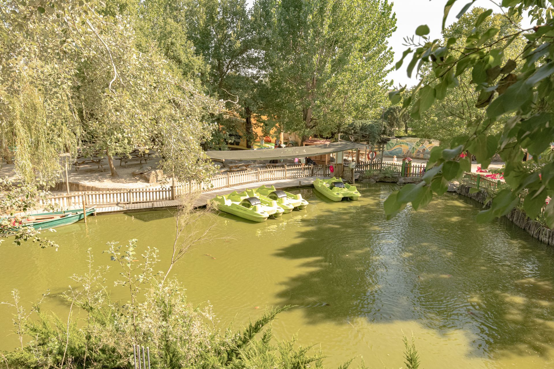 Étang avec plusieurs pédalos verts. Arbres et verdure entourent l'eau. Journée ensoleillée.