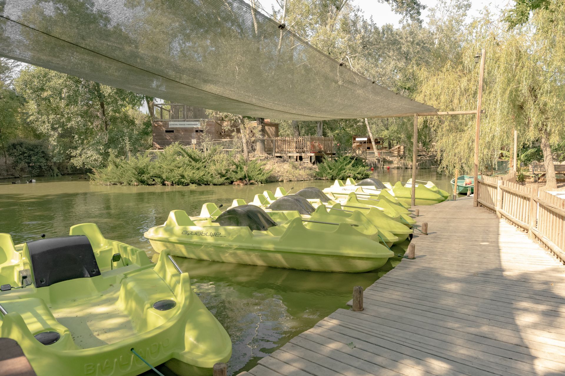 Une rangée de pédalos vert citron sur un quai, à l'ombre d'un abri, près d'un étang avec des arbres en arrière-plan.