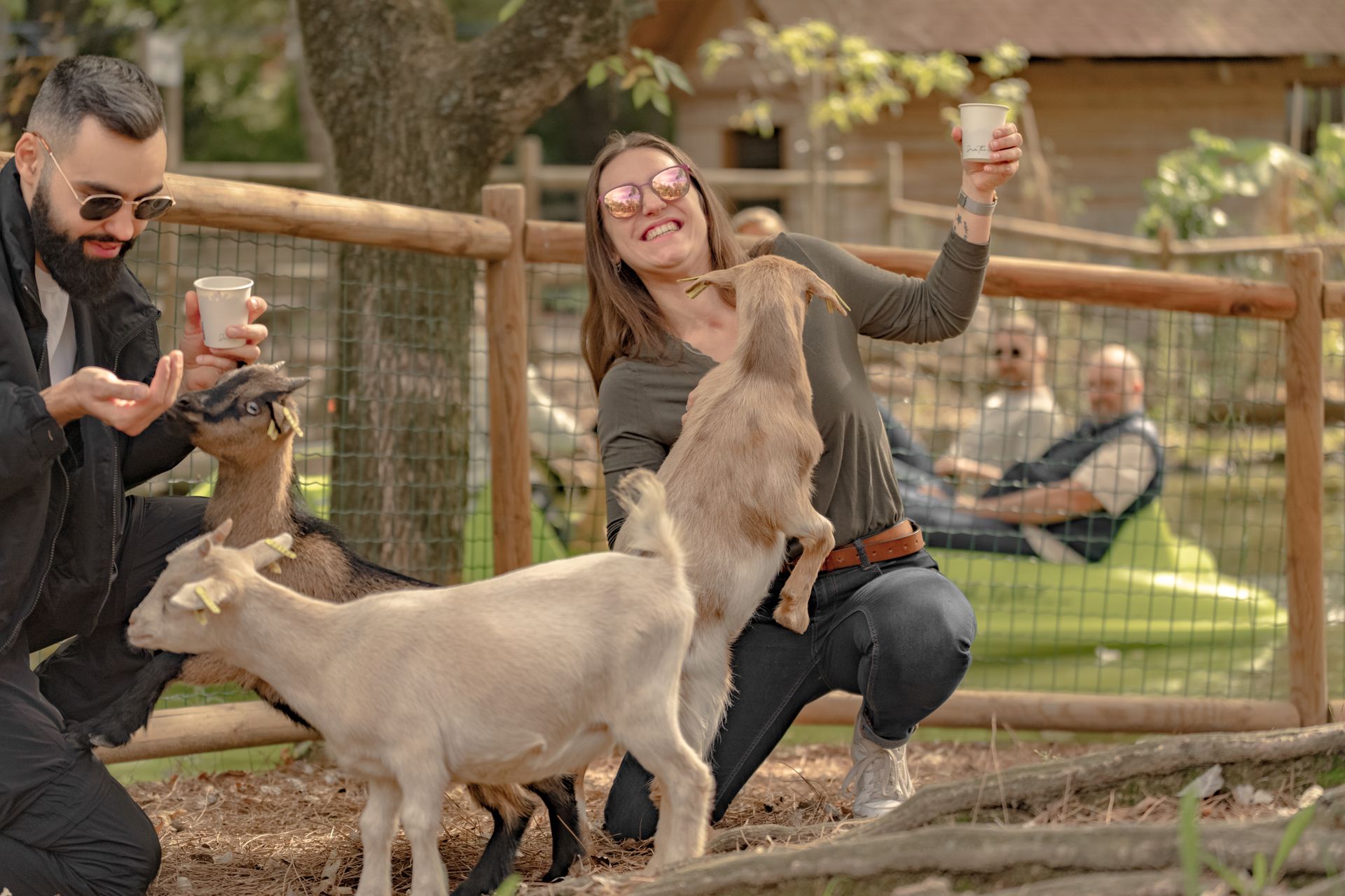 Des visiteurs nourrissent des chèvres dans une mini-ferme. Une femme sourit, une tasse à la main. Un homme, lunettes de soleil sur le nez, observe une chèvre.