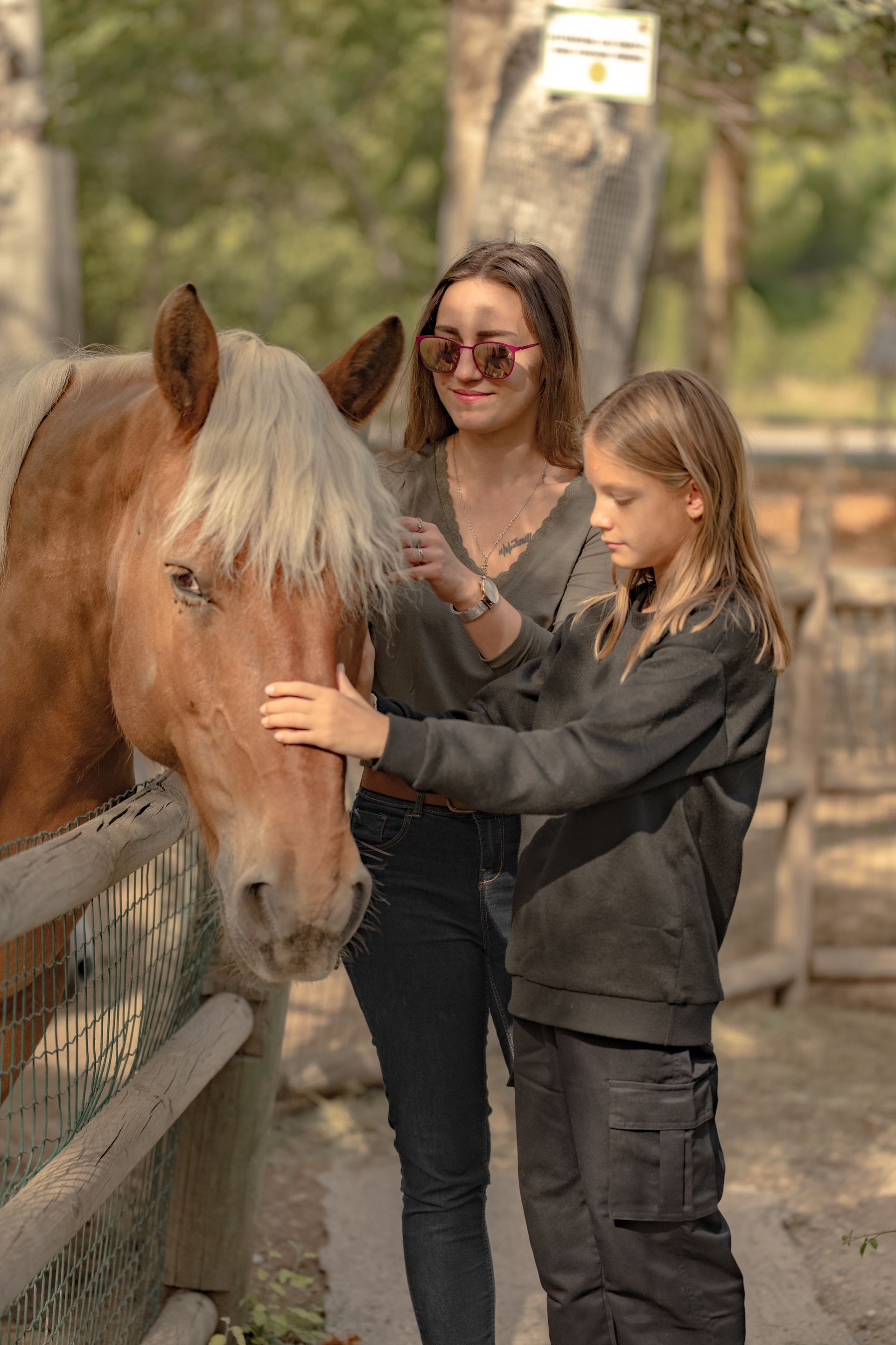 Une femme et un enfant caressent un cheval brun dans un cadre extérieur entouré d'une clôture en bois.