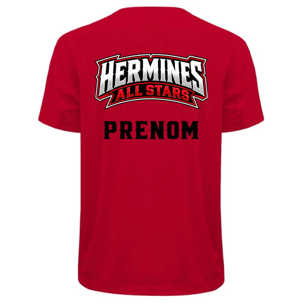 HERMINES - T SHIRT TECHNIQUE