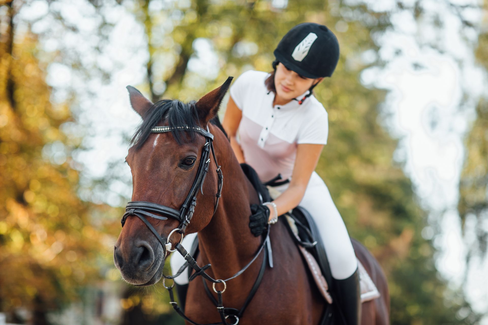 Cavalier casqué de noir sur un cheval brun, en extérieur, avec des arbres ensoleillés en arrière-plan.