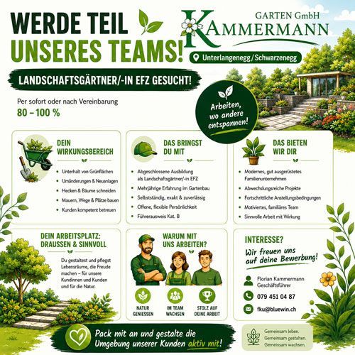 Stelleninserat