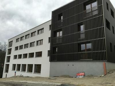 Michel Terrier - électricité - télécom - contrôle - Genève - Sous bois 1