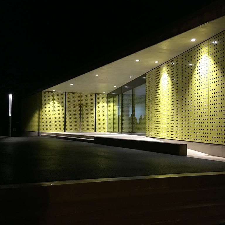 Michel Terrier - électricité - télécom - contrôle - Genève - Salle Communale du Petit-Lancy entrèe de nuit